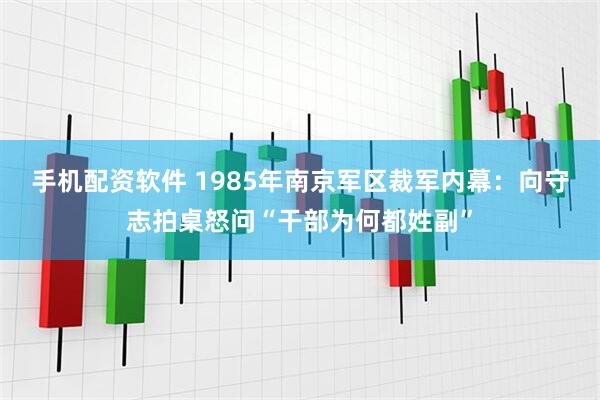 手机配资软件 1985年南京军区裁军内幕：向守志拍桌怒问“干部为何都姓副”